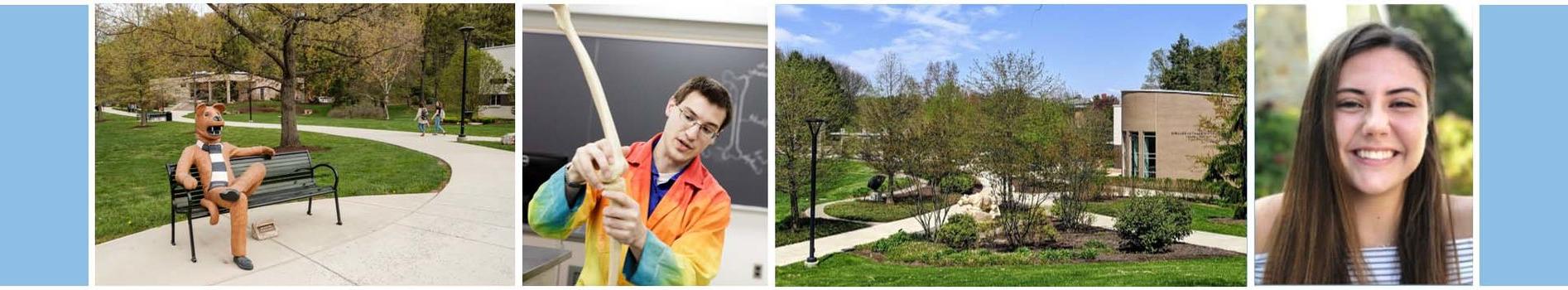 collage of a student, the Thun library, a kinesiology professor, and the Lion bench